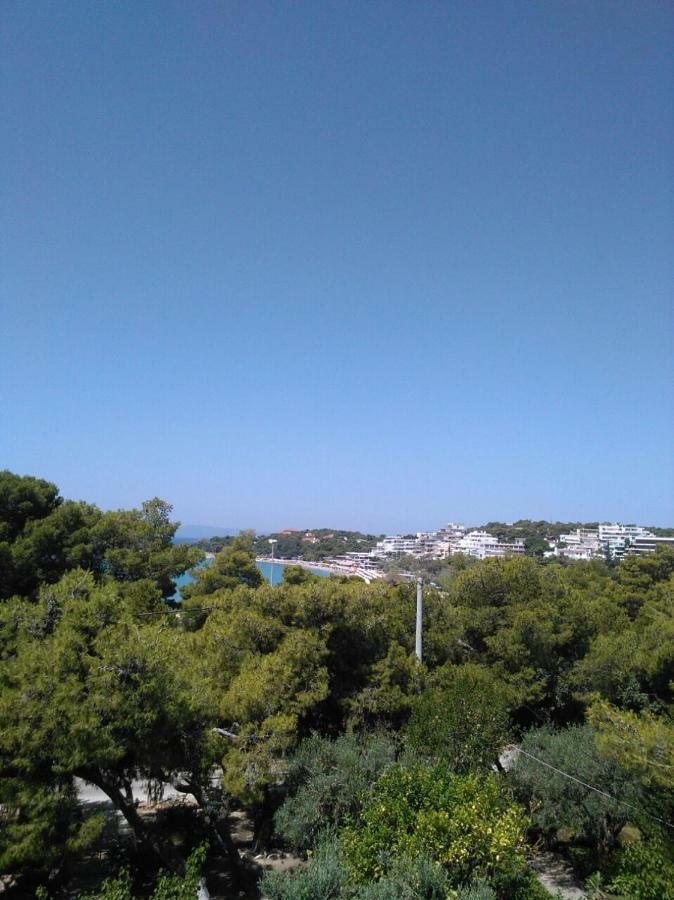 Comfortable Garden Apt Near Vouliagmeni Beach Aten Exteriör bild